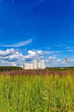 manzara yol patika bir alan üzerinden