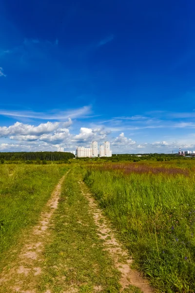 Gehweg durch ein Feld — Stockfoto