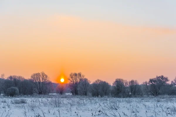 Étang non gelé en hiver — Photo