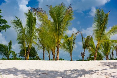 Atlantik Okyanusu 'nun güzel tropikal manzarası gökyüzü okyanus gökyüzüne karşı