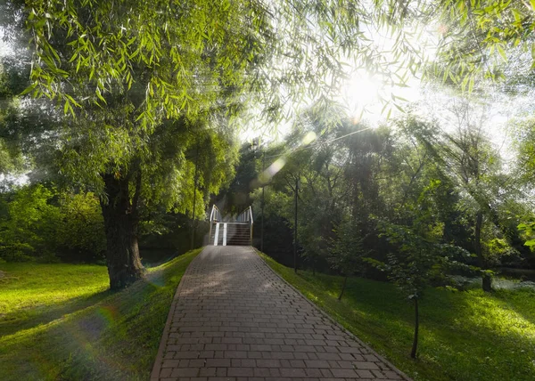 Passage Het Park Door Oude Brug — Stockfoto