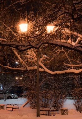kış geceleri kar tabakası ile kaplı bir ağaç arka plan üzerinde kutup lamba parlayan