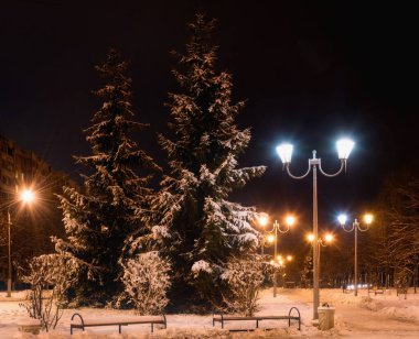 kış geceleri kar tabakası ile kaplı bir ağaç arka plan üzerinde kutup lamba parlayan