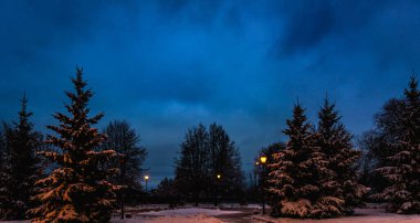 kış geceleri kar tabakası ile kaplı bir ağaç arka plan üzerinde kutup lamba parlayan