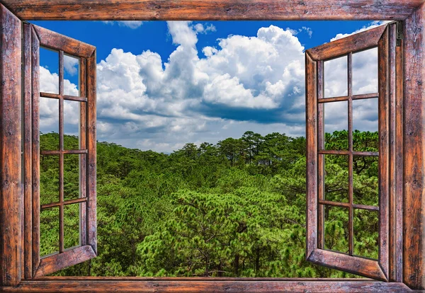 Açık Pencereden Vahşi Doğaya Yeşil Yaz Manzarası — Stok fotoğraf