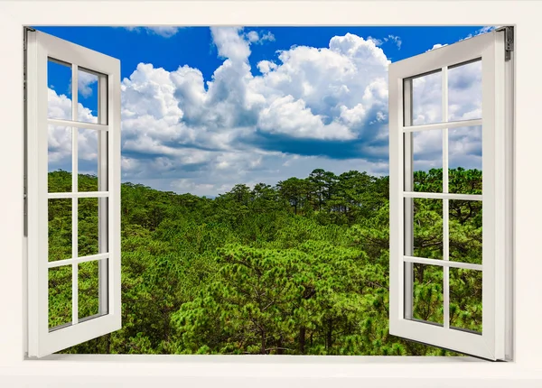 Vista Janela Aberta Para Natureza Selva Verão Verde — Fotografia de Stock