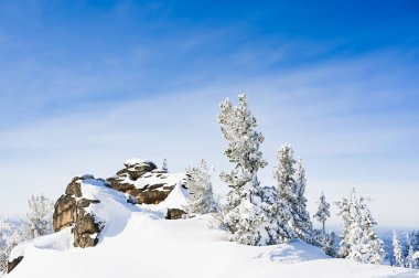 Kış manzaralı kayalık arka planda ağaçlar kuzeyde karda
