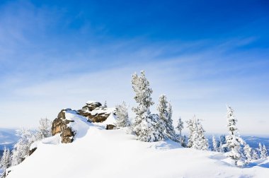 Kış manzaralı kayalık arka planda ağaçlar kuzeyde karda