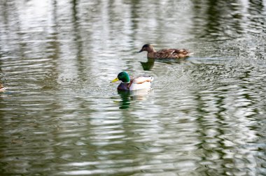 Evin çatısındaki baca mavi gökyüzüne karşı.