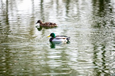 Evin çatısındaki baca mavi gökyüzüne karşı.
