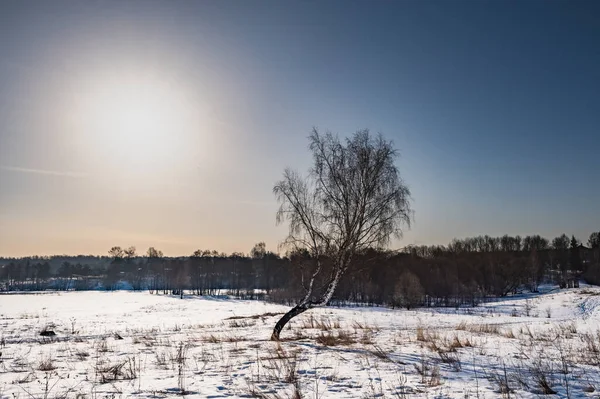 Houten Brug Naar Het Stuwmeer Een Lentedag Het Water Reflectie — Stockfoto