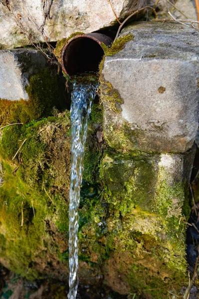 Wiosna Czystą Wodą Pitną — Zdjęcie stockowe