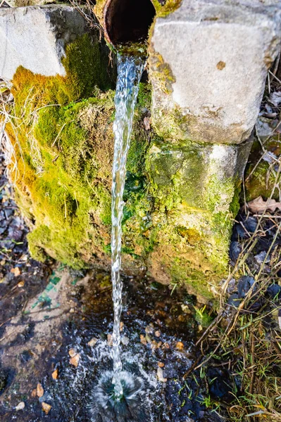Wiosna Czystą Wodą Pitną — Zdjęcie stockowe