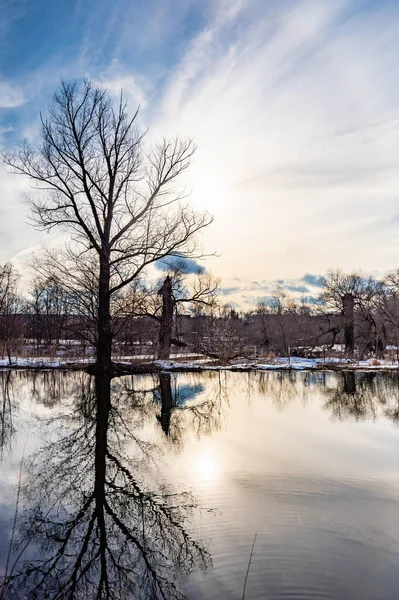 Pont Bois Vers Réservoir Jour Printemps Dans Eau Reflet Soleil — Photo