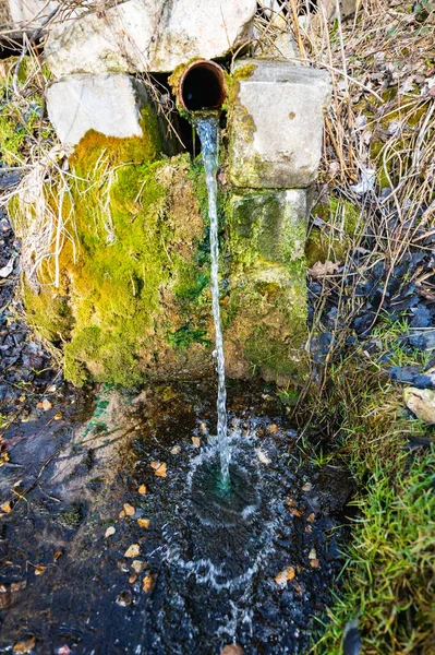 spring with clean drinking water