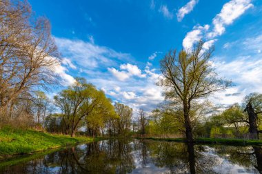 Parkta çamurla kaplı bir gölet ve mavi gökyüzünün arka planında bir ağaç.