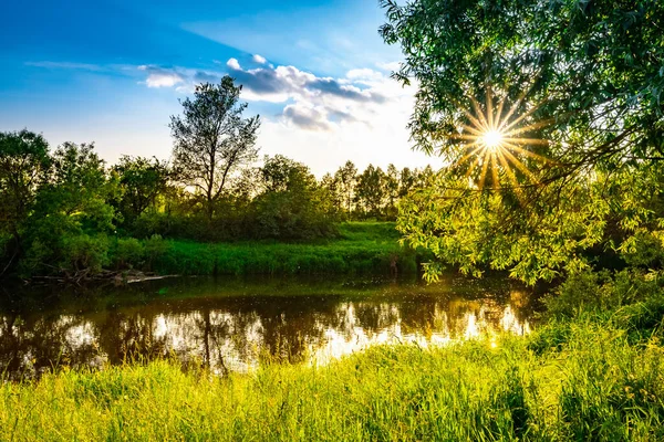 Coucher Soleil Sur Rivière Été Herbe Verte Rayons Soleil Travers — Photo