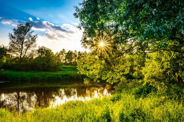Sonnenuntergang Fluss Sommer Grüne Grassonnenstrahlen Durch Baumzweige — Stockfoto