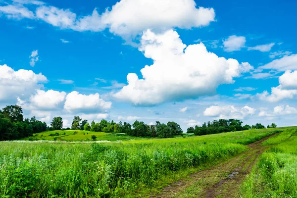 乡村风景土路在田野蓝天白云的映衬下 — 图库照片