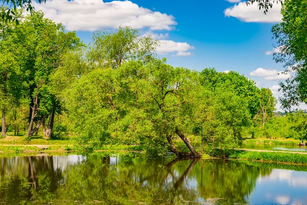 青い空を背景に木のある公園の泥で覆われた池 — ストック写真