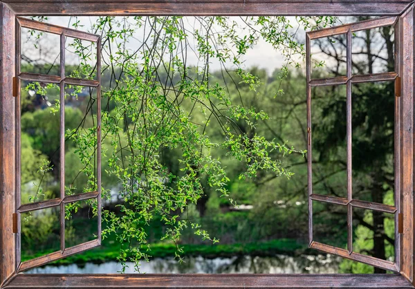 Nature Landscape View Window Curtains — Stock Photo, Image