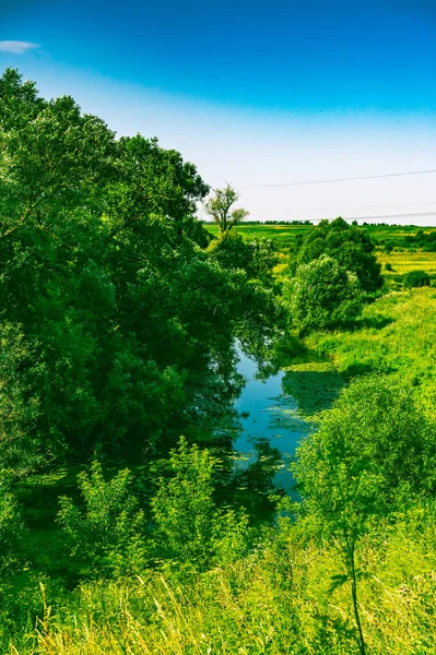 Bend River Flowing Forest Landscape — Stock Photo, Image