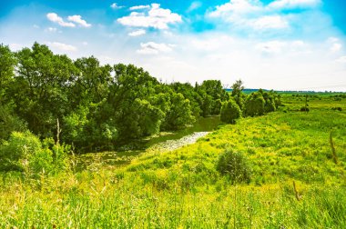 Nehrin kıvrımları orman arazisinde akıyor.