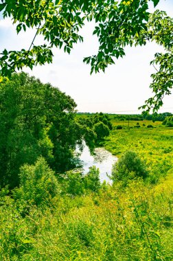 Nehrin kıvrımları orman arazisinde akıyor.