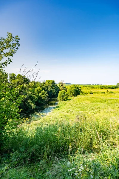 Bend River Flowing Forest Landscape — Stock Photo, Image