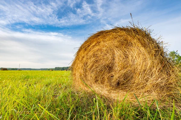 在乡间收割季节收割成卷的割下来的干草被送到田里躺着 — 图库照片