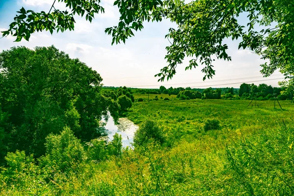 Biegung Des Flusses Der Die Waldlandschaft Fließt — Stockfoto
