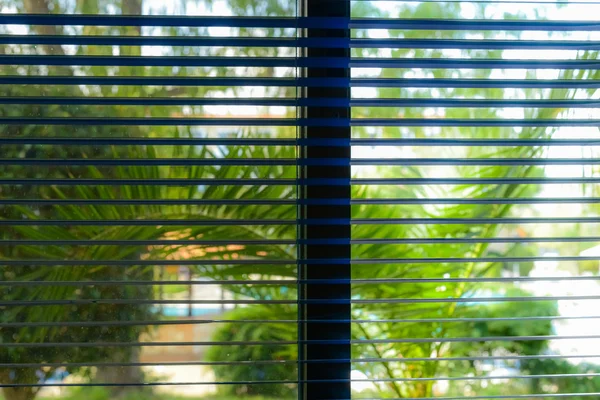 Window blinds — Stock Photo, Image