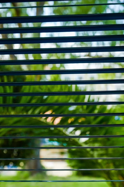 창문의 균열 — 스톡 사진