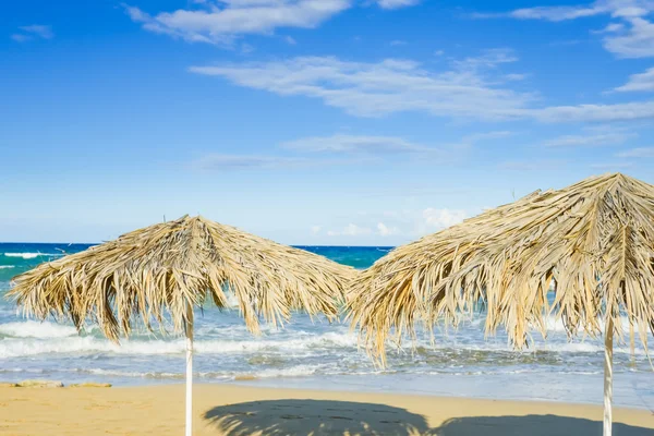 Beach umbrellas cyprus — Stock Photo, Image