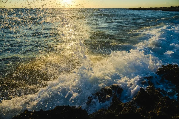 Surfen im Morgengrauen — Stockfoto