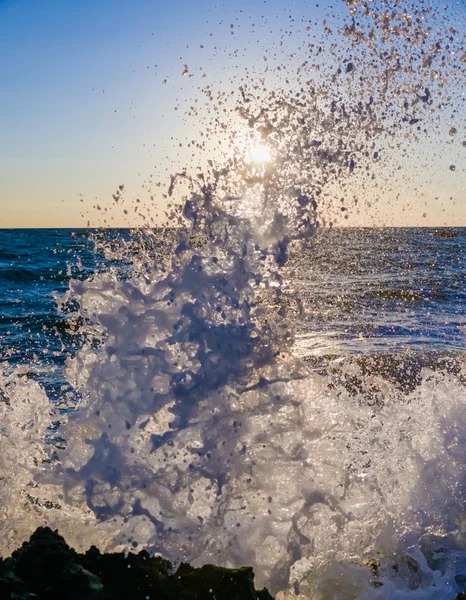 Surfer à l'aube — Photo