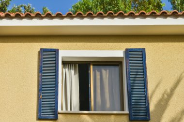 Bina yeşil palmiye bitki