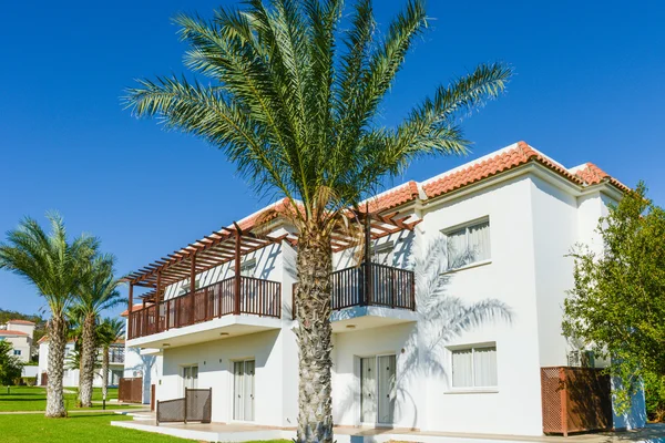 Building green palm plant — Stock Photo, Image