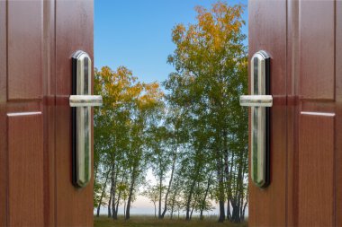 açık kapı ve kış orman