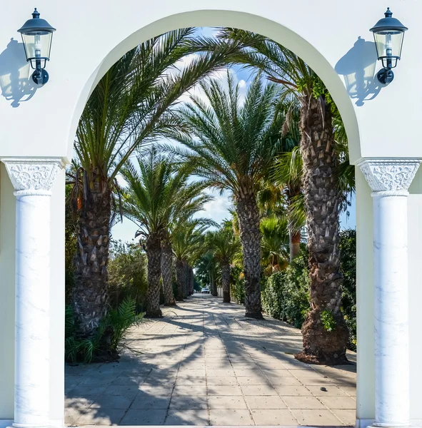 Bogentür auf der Palmenallee — Stockfoto