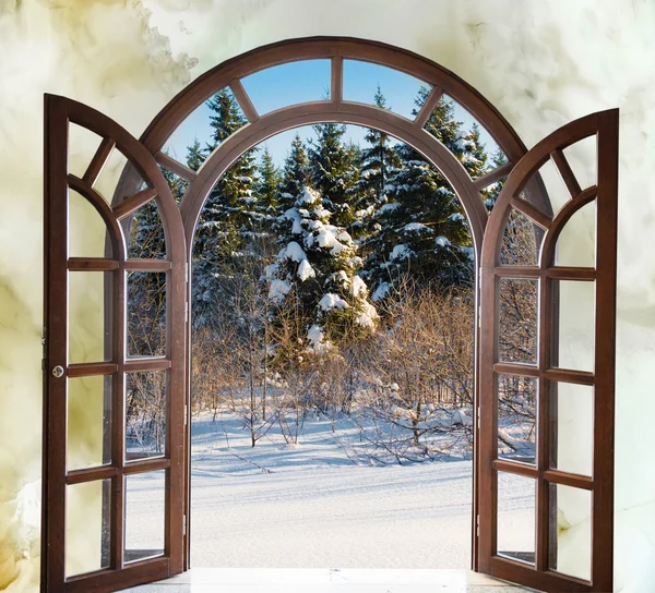 Puerta abierta con arco y vistas al paisaje natural — Foto de Stock