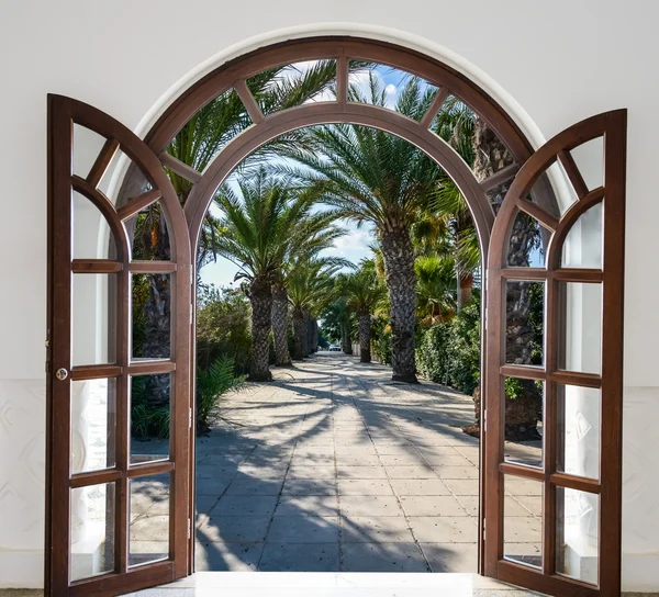 Arch door on the palm alley — Stock Photo, Image