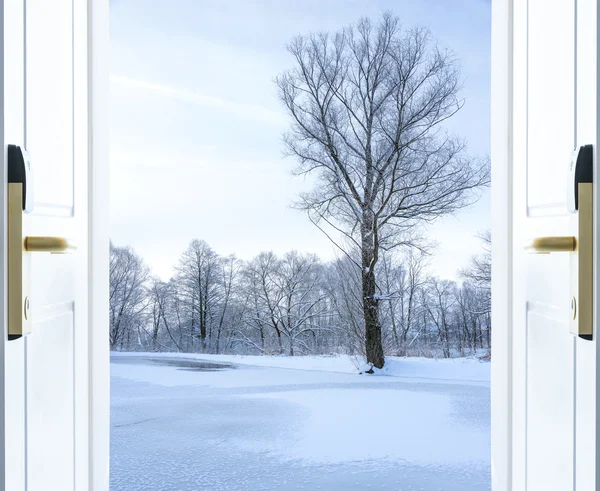 Prateria paesaggio e cielo — Foto Stock