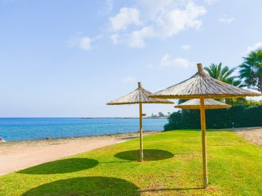 şemsiye saman denizde