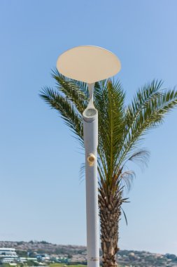 Bahçedeki fener.
