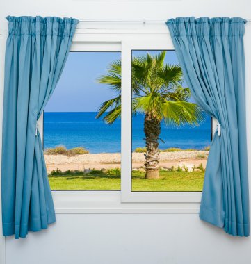 Deniz palm pencere görünümünü