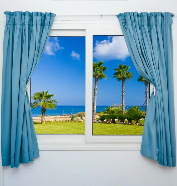 Vista da janela da palma do mar — Fotografia de Stock