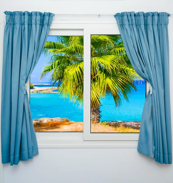 Widok okna morze palmy — Zdjęcie stockowe