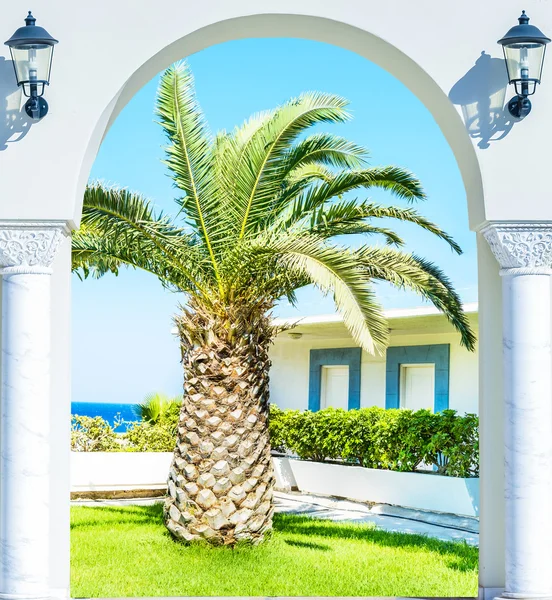 Entree boog palm weergave — Stockfoto
