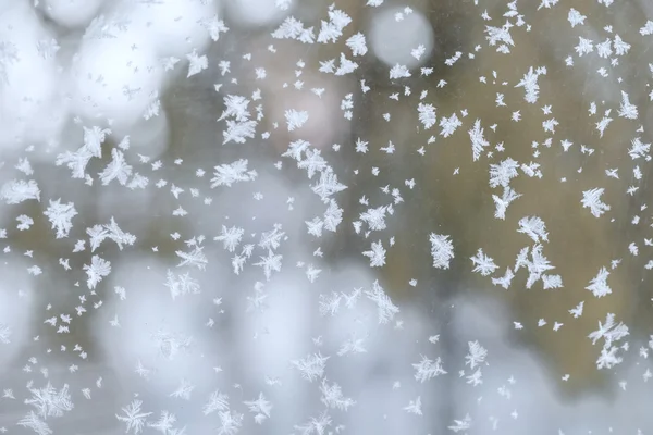 Fundo da neve branca — Fotografia de Stock